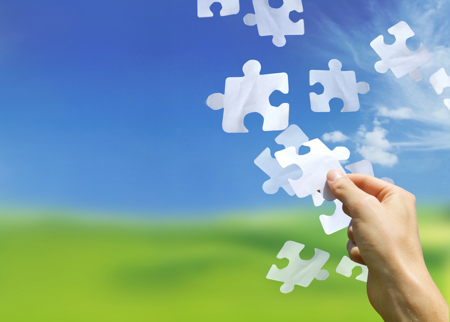 Wellness Puzzle
