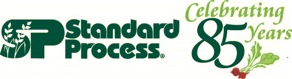 standard_process_logo