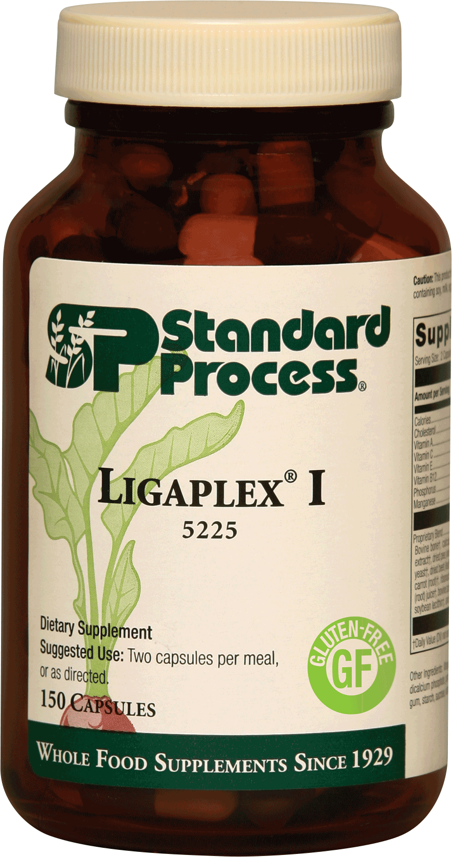 Ligaplex I