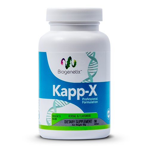 Kapp-X 1 Kapp-X