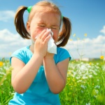 Try natural herbs to ease allergies