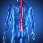 Spine care should include prevention says spine society, chiropractors