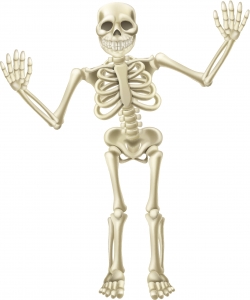 ThinkstockPhotos-186924901