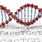 Targeted treatment: The promise of personalized care through nutrigenetic testing