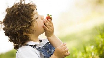 Child eating a strawberry