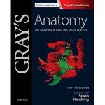 Anthony V. D’Antoni, DC, authors a chapter for Gray’s Anatomy