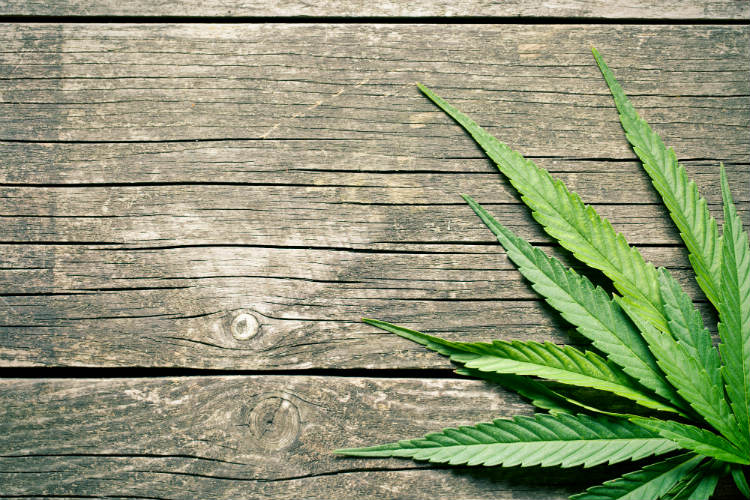 CBD topicals