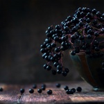 What are elderberries good for?