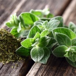 3 amazing benefits of oregano oil you don’t know about