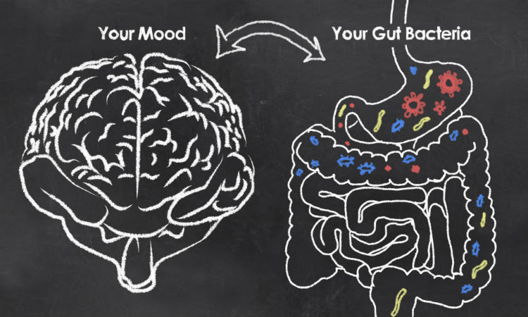 Showing the connection between the gut microbiome and depression by way of what many health care experts refer to as the gut-brain axis. 