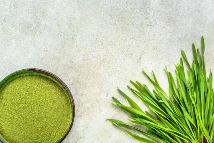 A table in a practice of a patient about to understand barley grass benefits