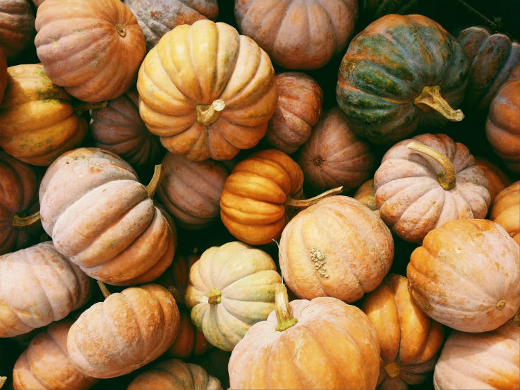 Did you know that there are many pumpkin oil benefits including improved mood, cardiovascular health, prostate health and more?