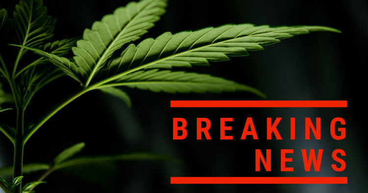 CBD breaking news