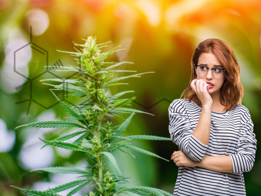 Today, CBD and hemp oil can be found in a variety of products, many of which are designed to help individuals ease pain and achieve a higher level of health without worry. It can be delivered in capsules, soft gels and powders, and it is also in quite a few topicals and oils, making it a substance that patients can take in whatever form they’re most comfortable using.