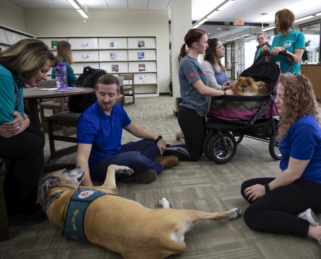 therapy dogs at CUKC