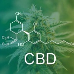 The entourage effect explained: legal THC benefits in CBD
