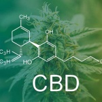 Cannabidiol’s intriguing role in joint health