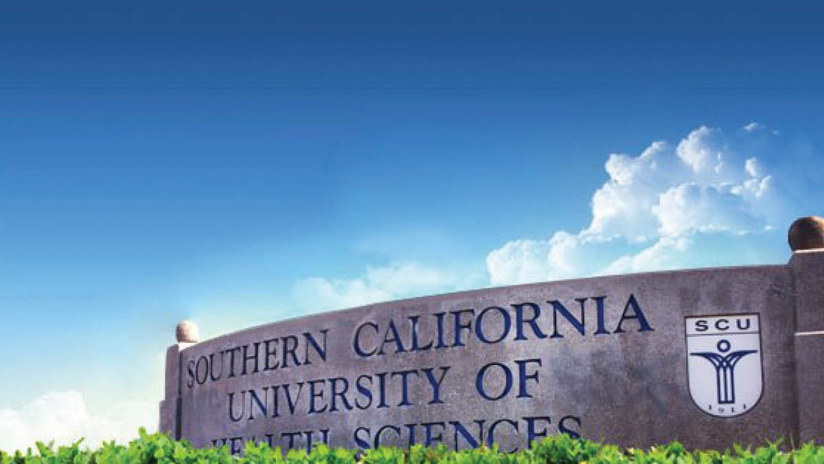 Best chiropractic schools profiles and stats Chiropractic Economics