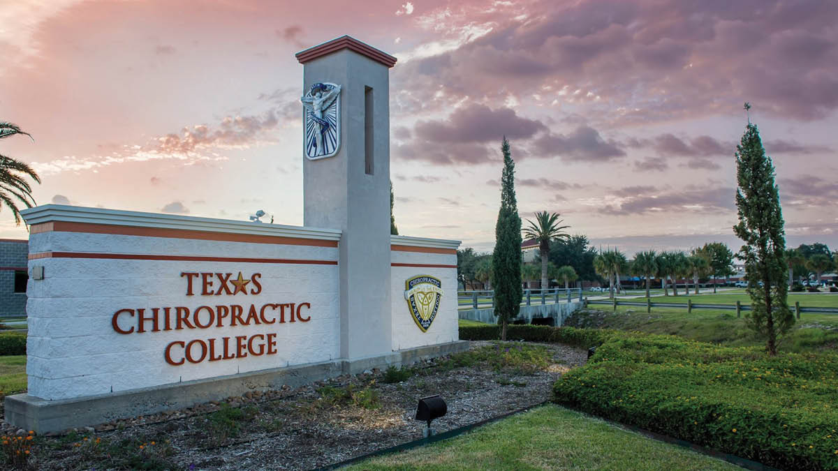 Best chiropractic schools profiles and stats Chiropractic Economics