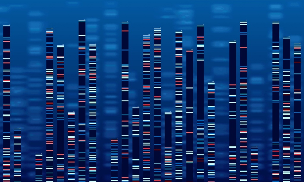 DNA testing genome map