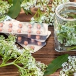 The valerian plant has the remedy for patients suffering with sleep