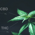 New poll reveals patient knowledge of CBD facts, THC