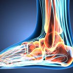 Foot function and common lower extremity issues in patients