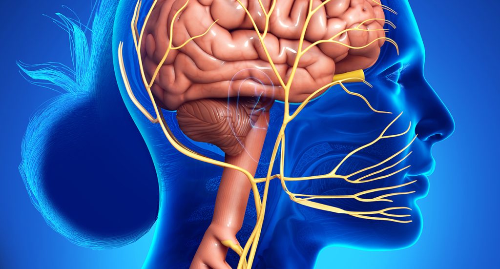 Vagus nerve stimulation, function and activation to battle chronic health conditions