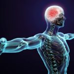 How do endocannabinoids work in the body and why should we care?