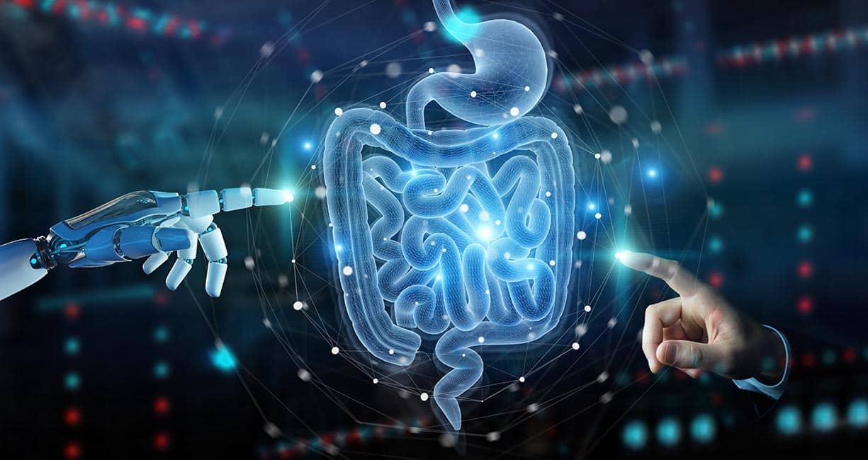 The best microbiome diet and ideal personalized plan for chiropractic patients