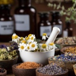 Does botanical medicine have a place in  chiropractic?