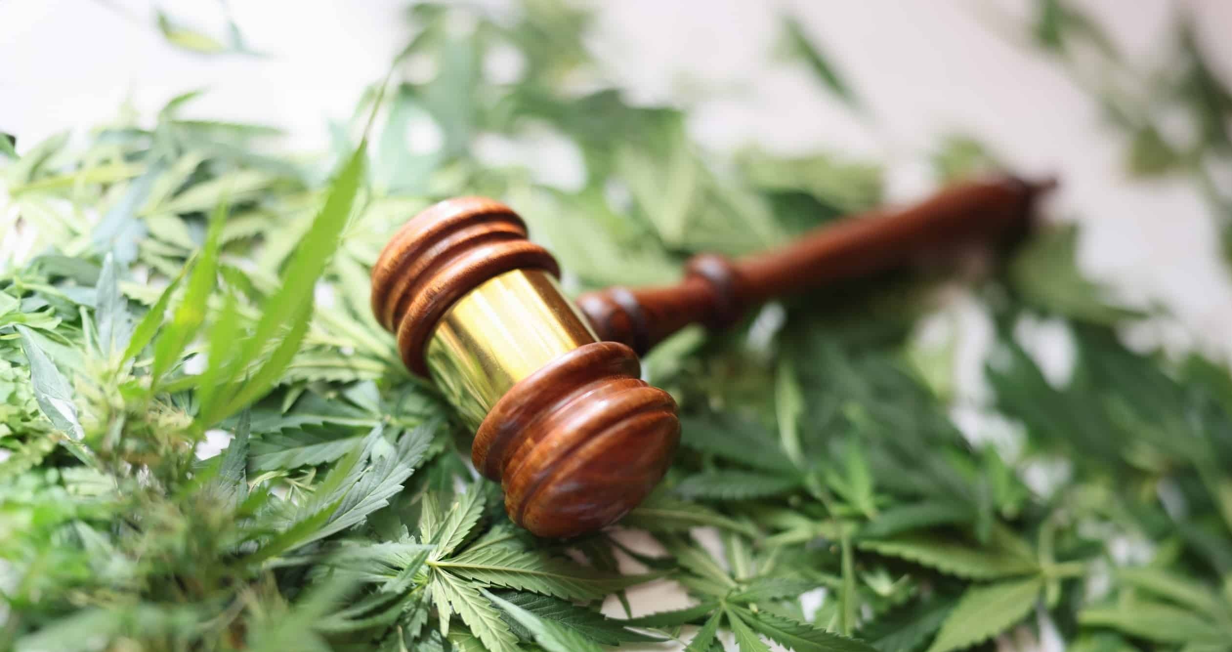 cannabinoids