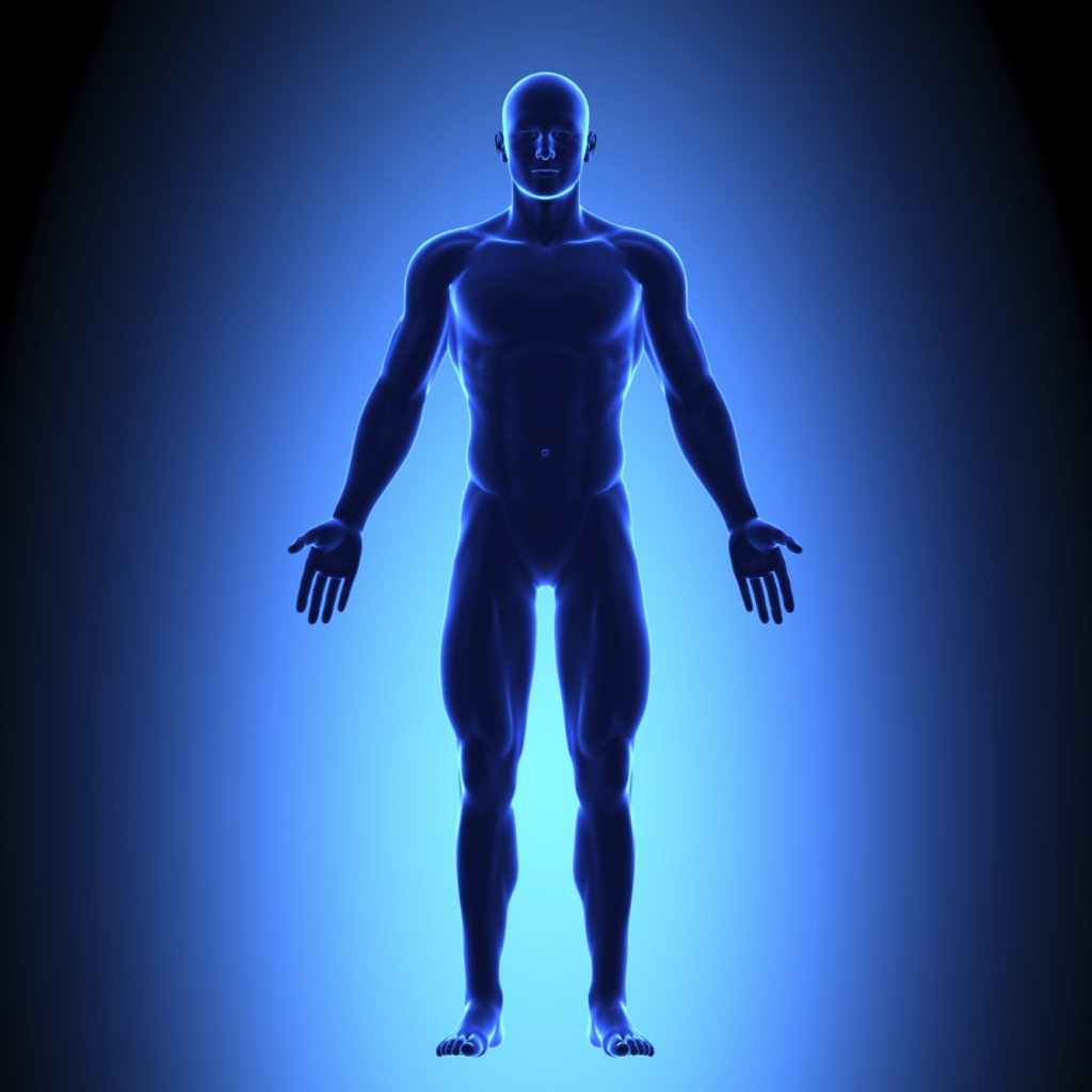 Full Body - Front View Blue concept