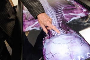 anatomage